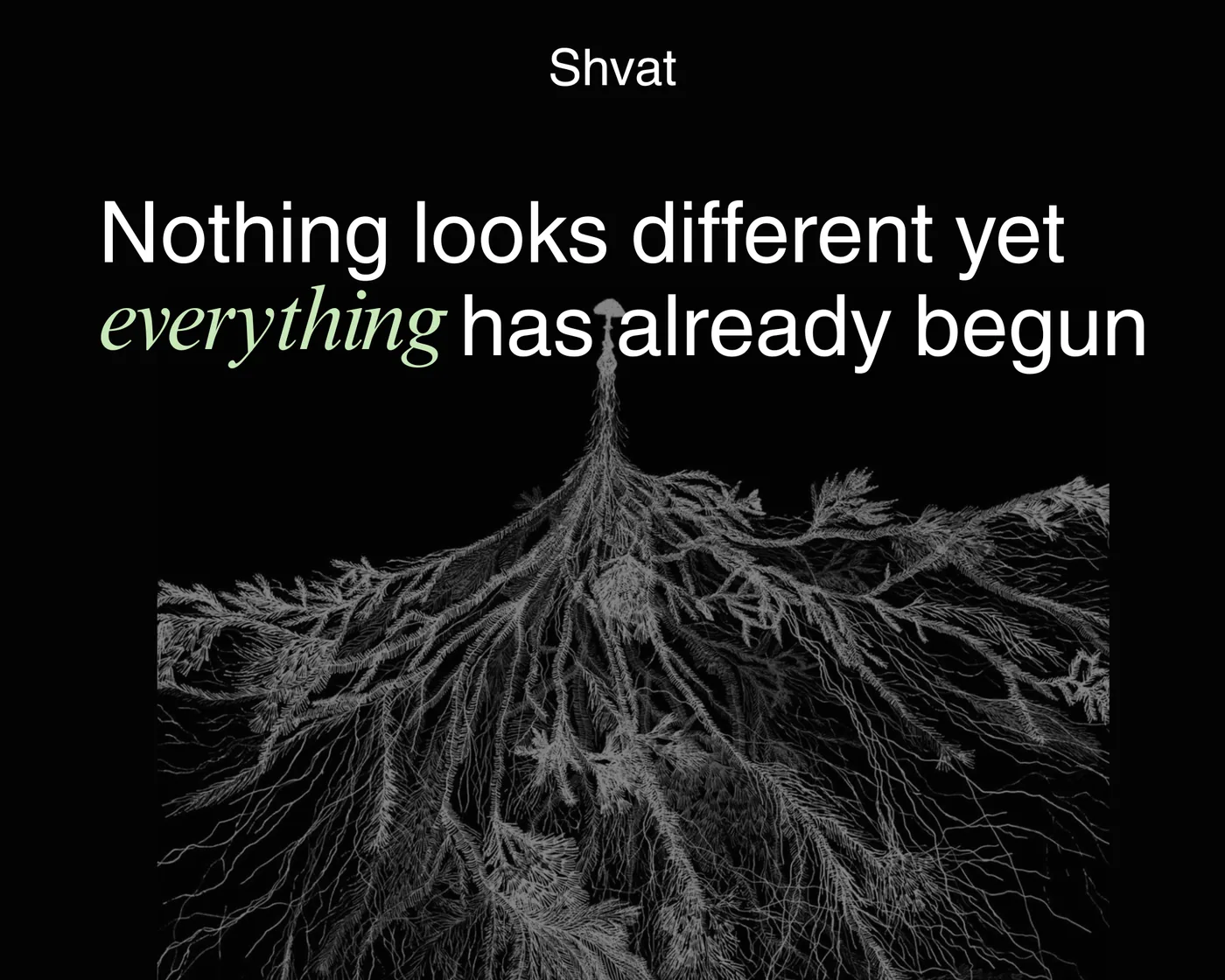 The Hebrew month of Shevat and its quiet growth
