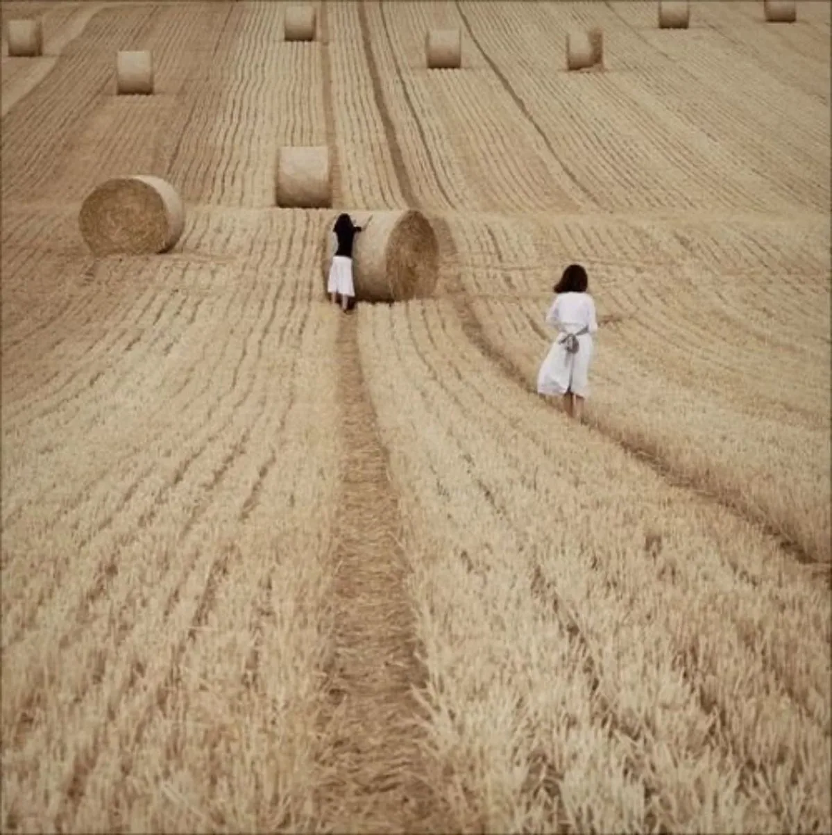 Tap into Shavuot