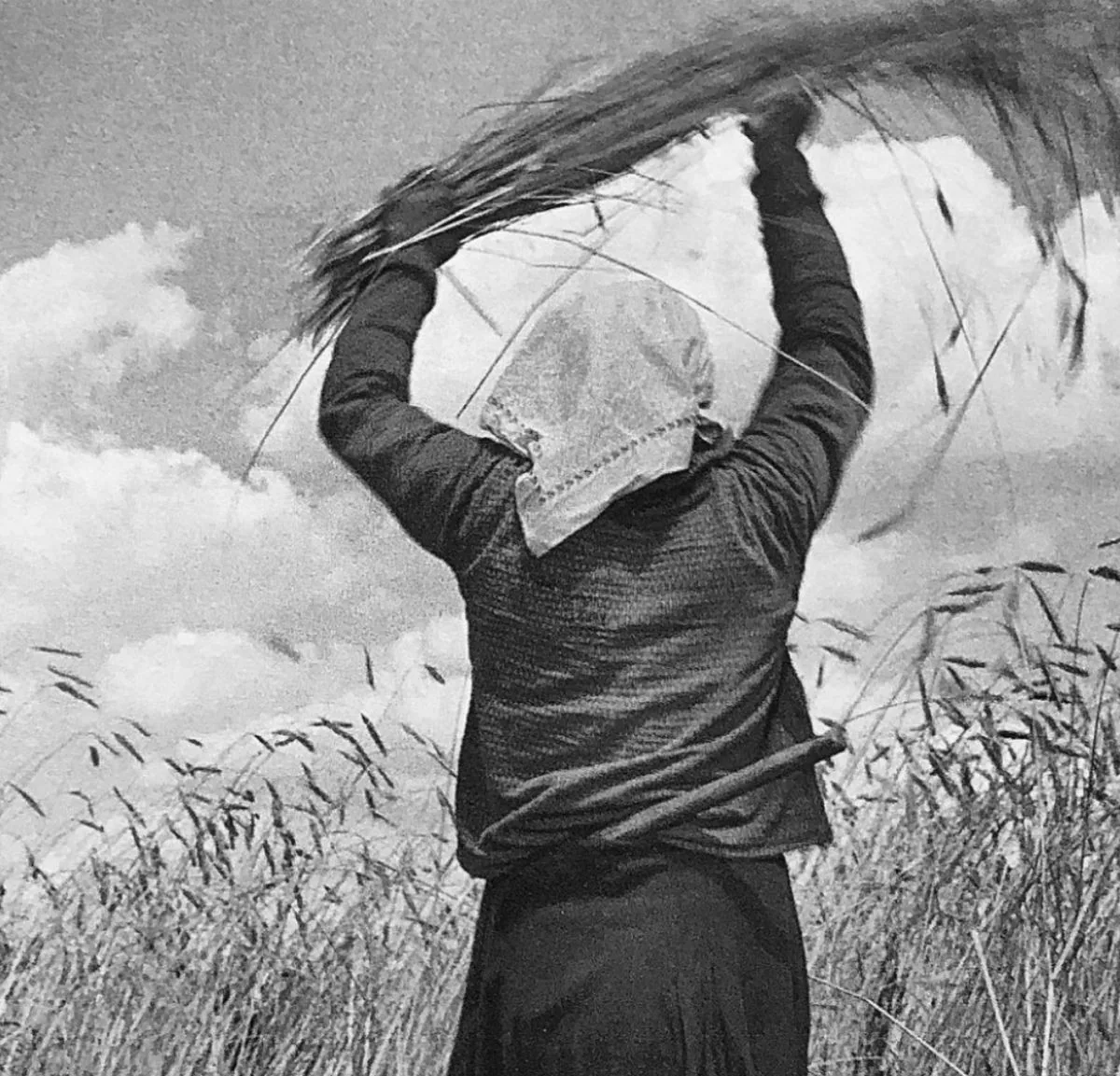 Tap into Shavuot
